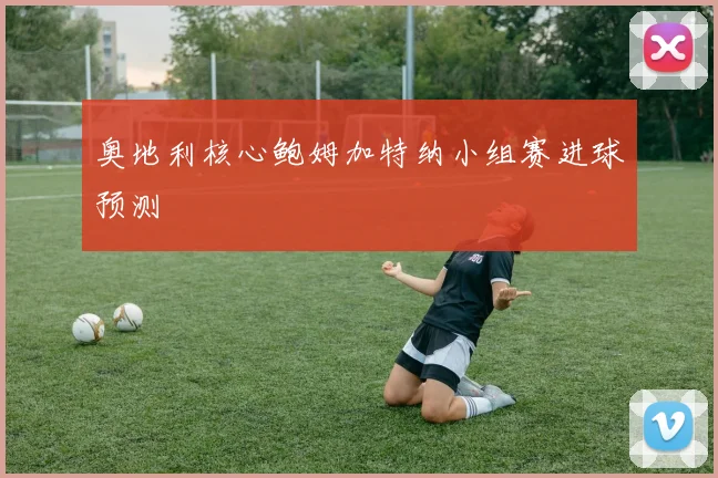 奥地利核心鲍姆加特纳小组赛进球预测