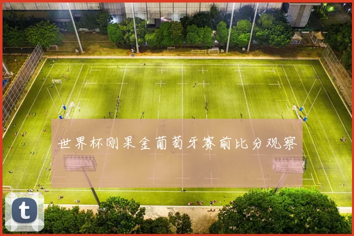 世界杯刚果金葡萄牙赛前比分观察