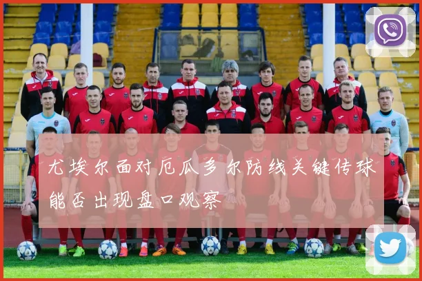 尤埃尔面对厄瓜多尔防线关键传球能否出现盘口观察
