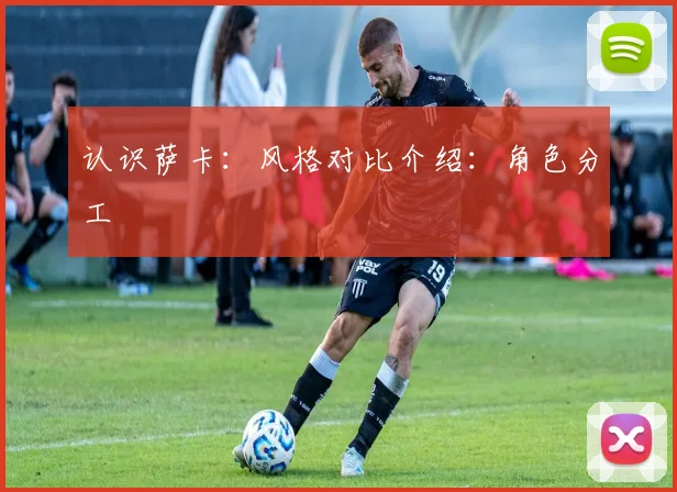 认识萨卡:风格对比介绍:角色分工